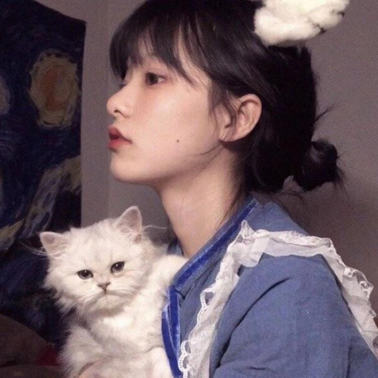 宫川一朗太（饰 桂小五郎） - 热门美剧全集在线观看 - APP追剧